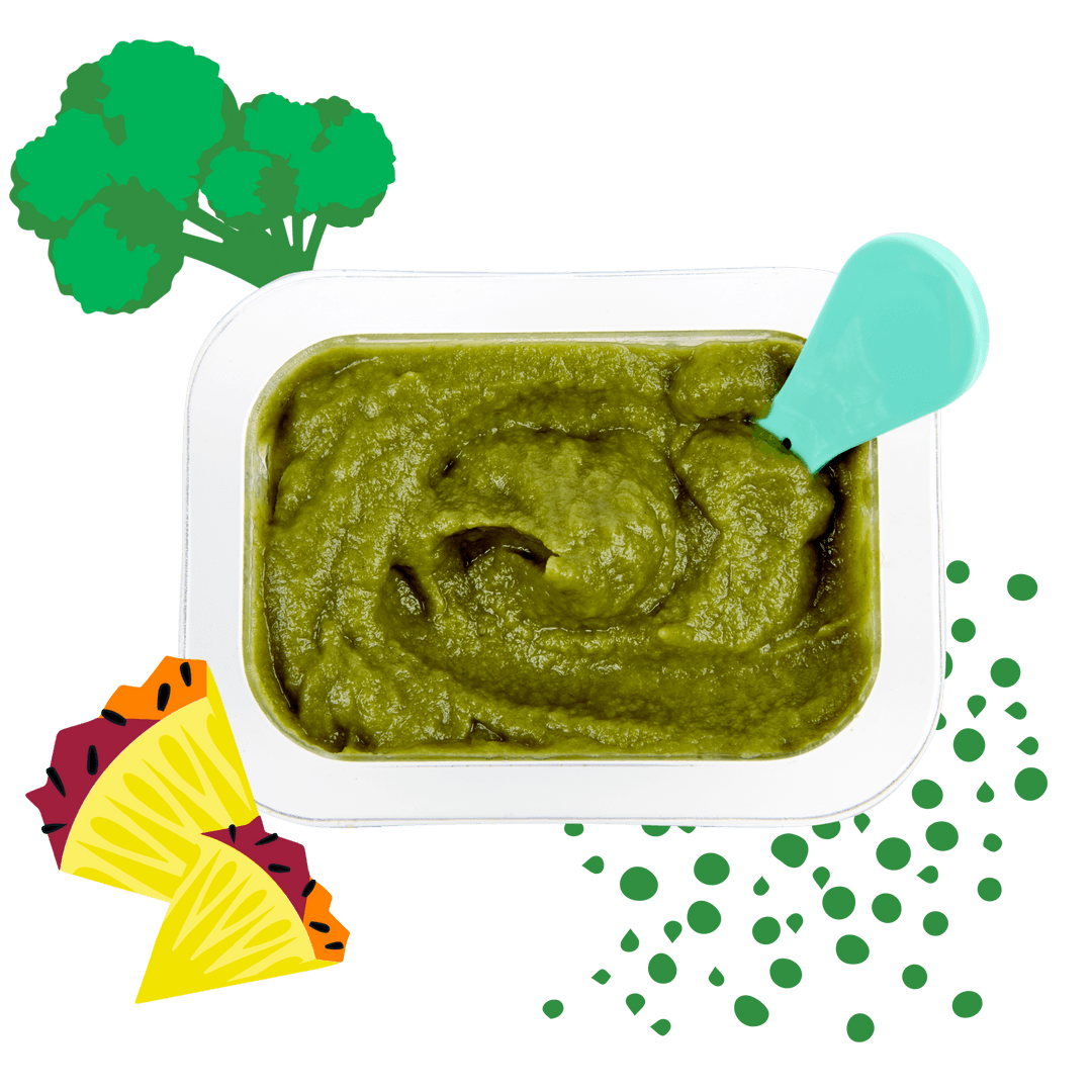 Little Spoon Fresh Organic Baby Food Delivery To Your Door